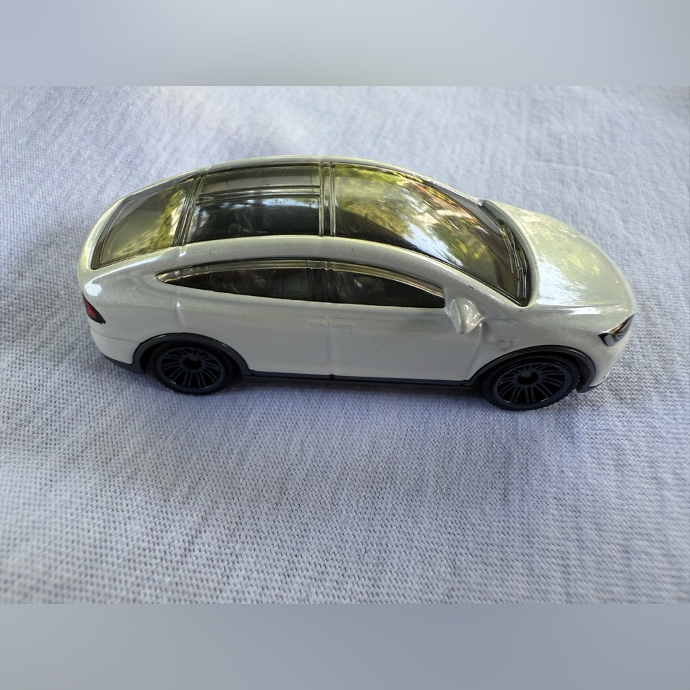 Elon Musk Tesla model